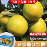 【产地直发】广东特产正宗廉江红橙红江农场红橙礼盒孕妇新鲜薄皮 单果50-55mm A级果【5斤】
