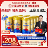 原始黄金新疆骆驼奶粉330g*12罐益生菌无蔗糖正宗驼乳粉高钙儿童成人奶粉