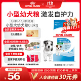 皇家狗粮 幼犬狗粮 幼犬奶糕宠物小型犬MIJ31全价犬粮2-10月800g
