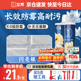 立邦美缝剂甄美缝十大品牌地砖瓷砖填缝剂美缝胶耐水防霉 闪亮银