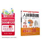 全新3D人体解剖图 人体肌肉解剖运动解剖学断层局部图谱解剖书教材卫生解剖生理学专业基础 医学书解剖图谱 200余幅全彩精密图谱人体解剖学书