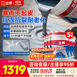 立邦防水涂料屋顶楼顶房顶补漏防水胶补漏王灰色20KG*5 