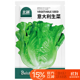 北蔬 意大利生菜种子苗四季速生阳台种菜籽 意大利生菜种子3g约1800粒