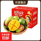 【彩箱礼盒】当季四川凯特芒大果新鲜采摘水果芒果爆甜多汁 带箱约10斤净重9斤 单果600g+