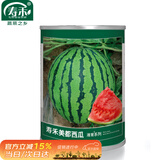 寿禾 美都西瓜种子种苗改良8424水果种籽 潍育美都西瓜种子150粒桶装