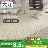 大江进口羊毛地毯客厅现代简约素色轻奢高级感沙发地毯140x200cm