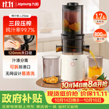 九阳（Joyoung）原汁机三段压榨家用多功能大口径电动冰淇淋机冷压榨果汁榨汁机渣汁分离Z12-LZ566