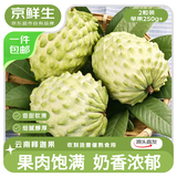 京鲜生云南牛奶释迦果番荔枝净重2粒装 单果250g+生鲜水果源头直发