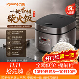 九阳（Joyoung）电饭煲家用5L大容量微压电饭锅多功能智能预约大功率土灶原釜球胆内胆柴火饭蒸饭锅3-10人 50FZ821【升级球胆大容量柴火饭】 5L