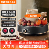 苏泊尔（SUPOR）迷你电陶炉 煮茶器煮茶炉煮茶壶 养生围炉煮茶泡茶办公家用不挑器具SW-DTL05