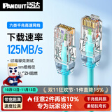 泛达 泛达六类细网线CAT6类千兆跳线POE监控办公家用水晶头宽带成品网线 冰湖蓝 10米