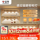 公牛（BULL）感应猫眼橱柜灯磁吸充电山丘光效展柜玄关氛围小夜灯 黑112cm三色