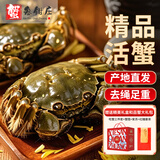 【活蟹】蟹叁钳庄 大闸蟹公5.0-5.3两母4.0-4.3两4对8只鲜活生鲜现货螃蟹礼盒