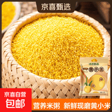黄小米 油小米杂粮山西特产当季新米五谷杂粮粗粮熬粥月子米 黄小米5斤 大包