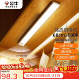 公牛（BULL）感应橱柜灯衣柜灯LED人感光感磁吸 卧室床沿玄关小夜灯60CM3000K