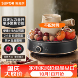 苏泊尔（SUPOR）迷你电陶炉 煮茶器煮茶炉煮茶壶 养生围炉煮茶泡茶办公家用不挑器具SW-DTL05