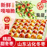 京地达山东沾化冬枣净重2斤单果20g+枣子新鲜大枣脆枣应季水果源头直发