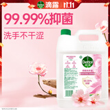 滴露（Dettol）洗手液补充装大桶消毒滋润5L 儿童家庭装杀菌护手