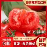 【新鲜夏柿】现摘山东普罗旺斯沙瓤口感西红柿生吃水果番茄包邮 5斤普罗旺斯西红柿 4.5斤 净重 中大果（单果100g+） 口感西红柿【自然成熟】
