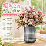 行湘雅乐之舞多肉植物金枝玉叶盆栽肉肉室内观赏花卉喜阳植物源头直发