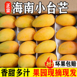 顾果鲜海南小台芒果新鲜当季热带水果孕妇香甜小台农芒现摘甜心香芒生鲜 5斤净重4.5斤 【中果装】
