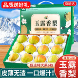 京地达山东玉露香梨子新鲜水果礼盒净重5斤单果380g+源头直发包邮