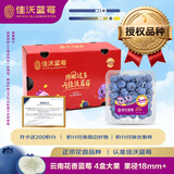 佳沃（joyvio）L25云南花香蓝莓18mm+4盒装约125g/盒 新鲜水果