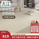 大江进口羊毛地毯客厅现代简约素色轻奢高级感沙发地毯140x200cm