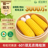 金沃瑞丰有机黄糯玉米4.16斤260g*8根真空低脂杂粮早餐【真有机假一赔万】