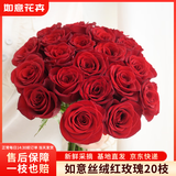 如意【丝绒红】玫瑰花20枝如意基地鲜切花插花花束如意基地源头直发