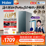 海尔（Haier）海尔鲜活水ProMax5.0 瞬时1400G整机0阻垢家用净水器厨下龙头杀菌后置抑菌双守护双出水可直饮R302