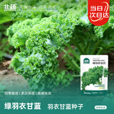 北蔬羽衣甘蓝种子苗食用沙拉菜四季盆栽菜籽 绿羽衣甘蓝种子约1000粒
