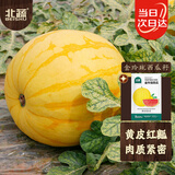 北蔬 金玲珑西瓜种子种苗黄皮红肉西瓜水果种籽 金玲珑西瓜种子约20粒