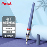 派通（Pentel ）便携科学毛笔速干软毛书法绘画毛笔 速干雅致灰科学XFPD3L