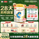 伊利金领冠珍护较大婴儿奶粉2段6-12月900g*6罐 HMO乳源/28天新鲜到家