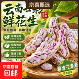 云南新鲜七彩花生带壳鲜花生高原特产水果花生富含花青素牛奶花生 新鲜七彩花生1斤 含箱