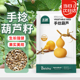 北蔬 手捻小葫芦种子苗文玩特小阳台庭院爬藤盆栽籽 手捻葫芦种子10粒