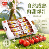 京鲜生&柿一家山东串收樱桃番茄123g*8条甜蜜礼盒鲜水果小柿子源头直发