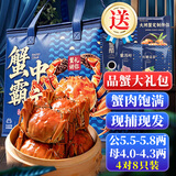 【活蟹】蟹宗鲜活大闸蟹螃蟹现货公5.5-5.8母4.0-4.3两4对8只生鲜海鲜节日礼品源头直发