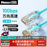 泛达 泛达超六类细网线CAT6A类跳线家用电脑宽带POE监控万兆高速成品线 冰湖蓝 1米
