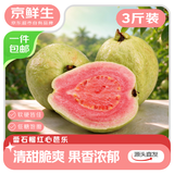 京鲜生广西红心芭乐 净重3斤 单果130g+ 约7~11个番石榴水果源头直发
