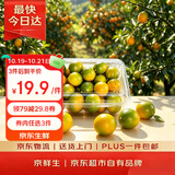 京鲜生 脆皮金桔【滑皮二代金桔】 净重1.5斤 单果15g起 生鲜水果