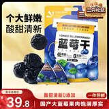 三只松鼠每日蓝莓干500g 蜜饯果干酸甜休闲零食下午茶孕妇儿童健康零食