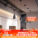 自由亮 自由亮北欧餐厅灯吊灯led饭厅吧台灯轻奢现代简约卧室床头吊灯 炮弹单头黑色-三色变光