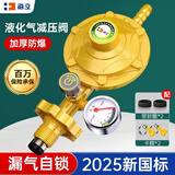 海立液化气减压阀煤气新国标0.6家用低压防爆防漏气煤气罐安全阀RJ253