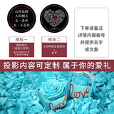 Vana爱的记忆100种我爱你投影银项链女生日礼物送女朋友老婆 蓝色真花礼盒【备注颜色】投影款