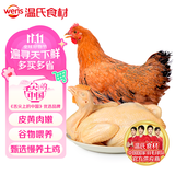 温氏供港黄油鸡净重2斤 120天 冷冻黄油母鸡农家土鸡整鸡 炸鸡鸡肉