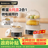 志高（CHIGO）煮蛋器 电炖盅隔水炖电炖锅 蒸蛋器小型1-2人自动断电2026款 智能预约家用多功能早餐机ZNZDQ003