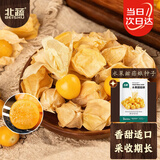 北蔬 菇娘果种子种苗灯笼果黄姑娘盆栽水果种籽 水果甜菇娘种子200粒