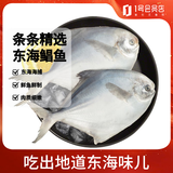 海之围场 鲜冻东海大银鲳鱼1kg(5条装) 平鱼 生鲜 鱼类 深海鱼